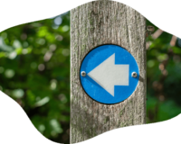 wakefield walking club trial walk